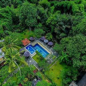 4* База отдыха Alas Petulu And
