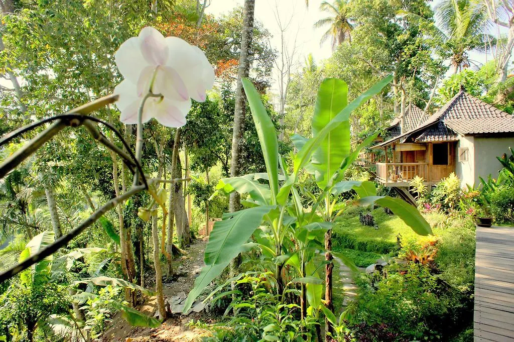 Prashanti Bali Ubud 2*,